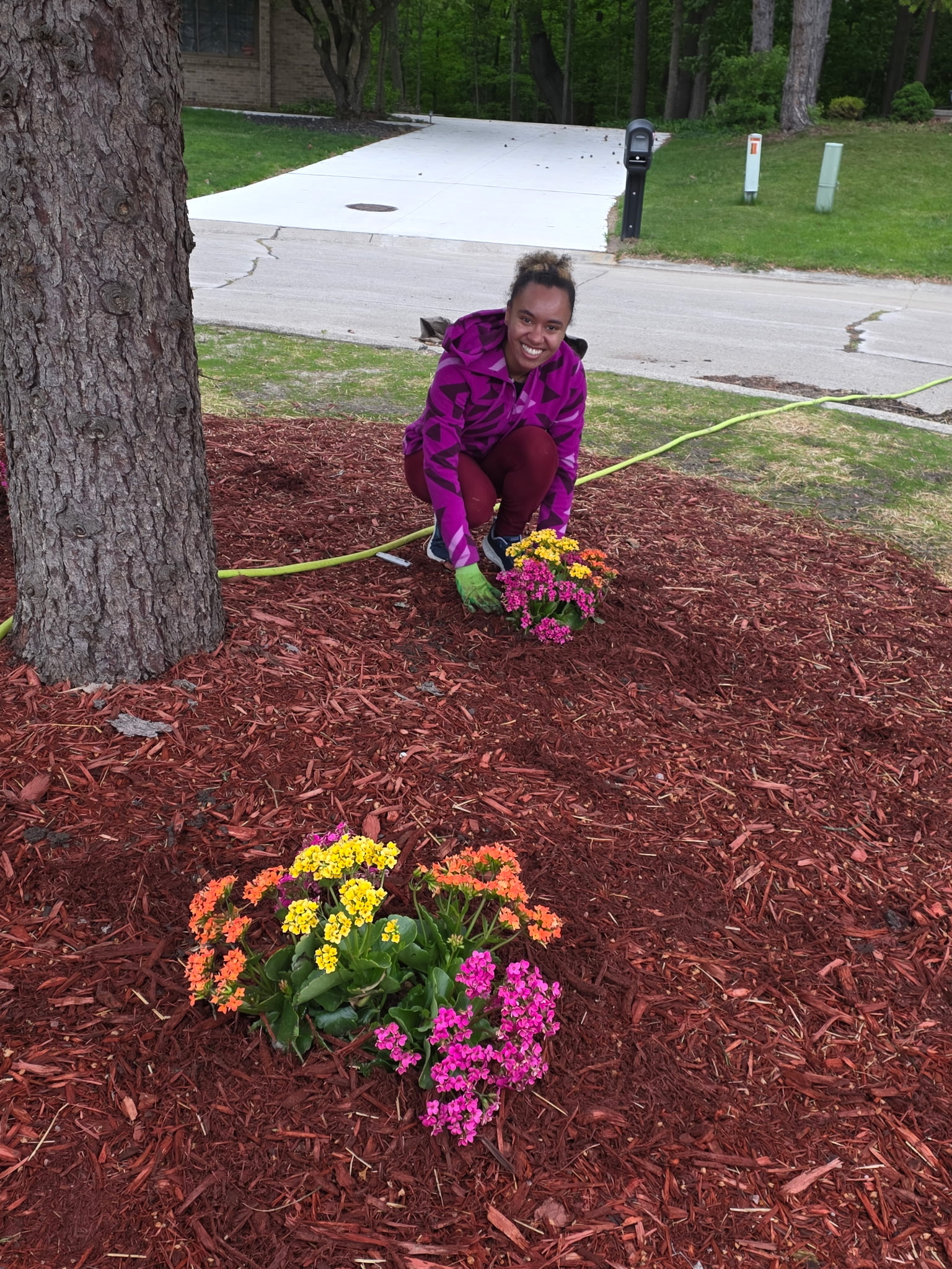 Island Clean Up/Beautification of Entrance